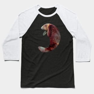 Galaxy Manatee Baseball T-Shirt